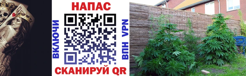 Где купить Асино МАРИХУАНА Меф мяу мяу АМФЕТАМИН ГАШ COCAIN