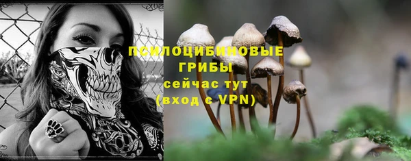 прущий лед Алапаевск