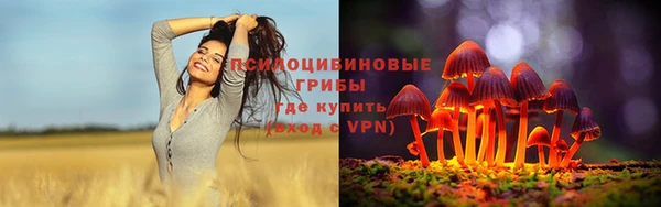 прущий лед Алапаевск