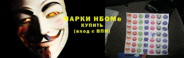 мдпв Вяземский