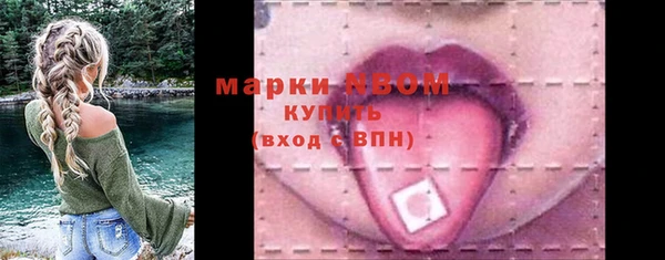 мдпв Вяземский