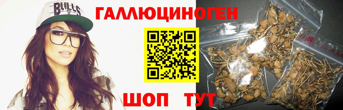 Галлюциногенные грибы ЛСД  Галлюциногенные грибы мухоморы  Асино  Вход с VPN 