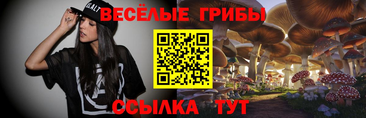 Галлюциногенные грибы Psilocybe  Асино  Галлюциногенные грибы Cubensis 