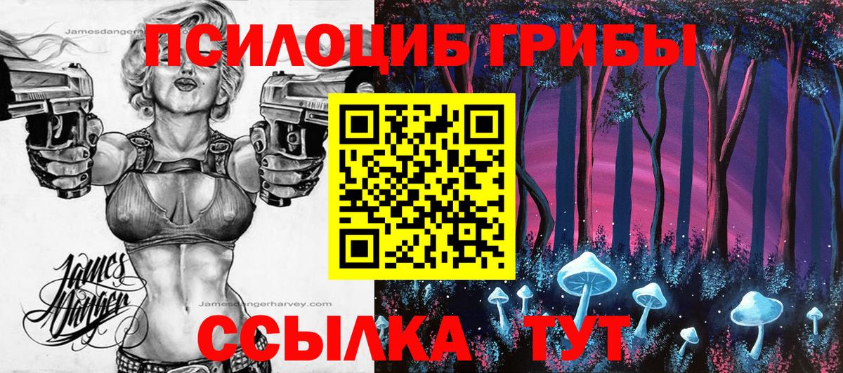 Псилоцибиновые грибы Cubensis Асино