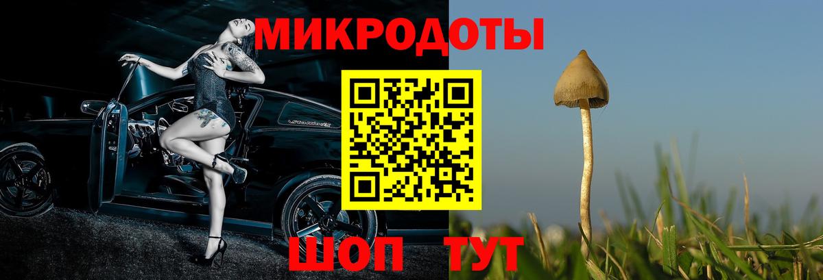 Псилоцибиновые грибы прущие грибы Асино
